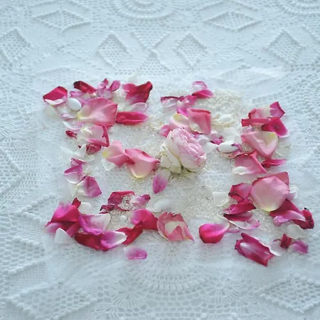 Mando Beachfront Penzion 4*