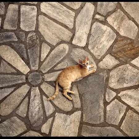 Mando Beachfront Pensjonat Stafylos