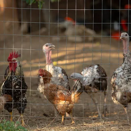 Penzion Mando Beachfront