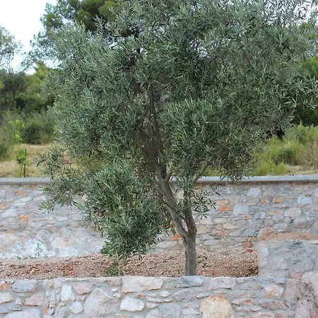 Mando Beachfront Stafylos